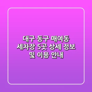 대구 동구 매여동 세차장 5곳 상세 정보 및 이용 안내
