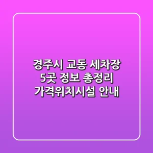 경주시 교동 세차장 5곳 정보 총정리 - 가격/위치/시설 안내