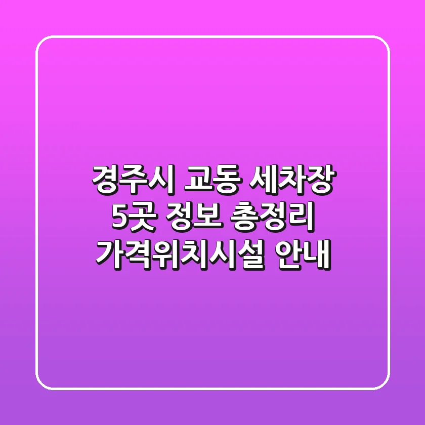 경주시 교동 세차장 5곳 정보 총정리 - 가격/위치/시설 안내