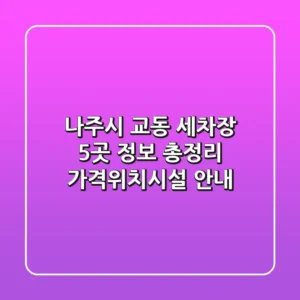 나주시 교동 세차장 5곳 정보 총정리 - 가격/위치/시설 안내