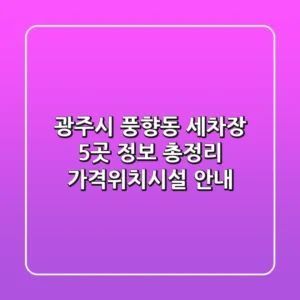 광주시 풍향동 세차장 5곳 정보 총정리 - 가격/위치/시설 안내