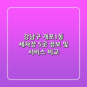 강남구 개포1동 세차장 5곳 정보 및 서비스 비교