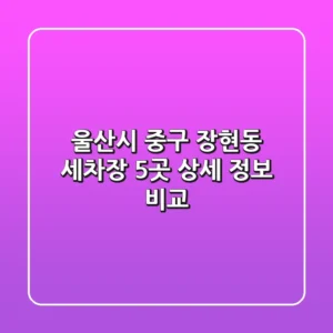 울산시 중구 장현동 세차장 5곳 상세 정보 비교