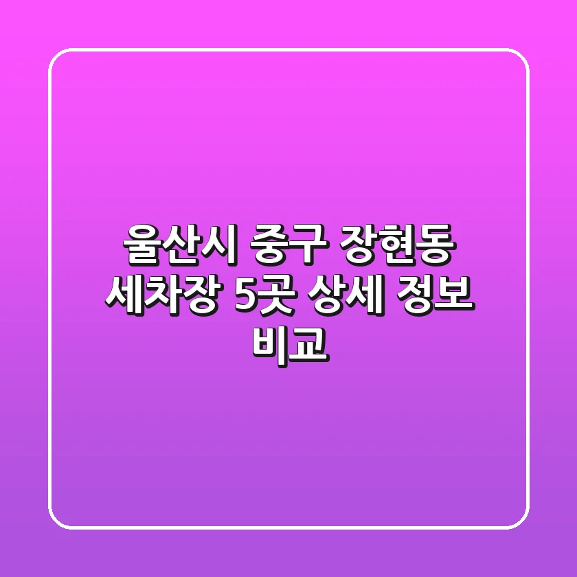 울산시 중구 장현동 세차장 5곳 상세 정보 비교