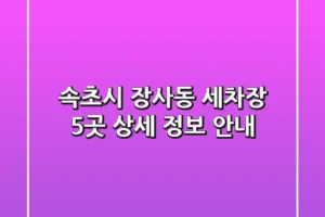 속초시 장사동 세차장 5곳 상세 정보 안내