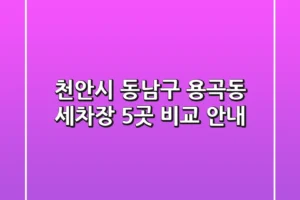 천안시 동남구 용곡동 세차장 5곳 비교 안내