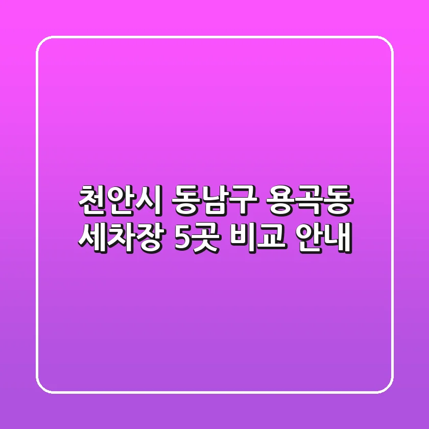 천안시 동남구 용곡동 세차장 5곳 비교 안내