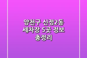 양천구 신정2동 세차장 5곳 정보 총정리