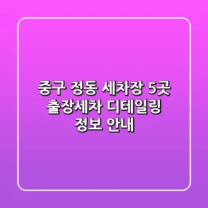 중구 정동 세차장 5곳: 출장세차, 디테일링 정보 안내