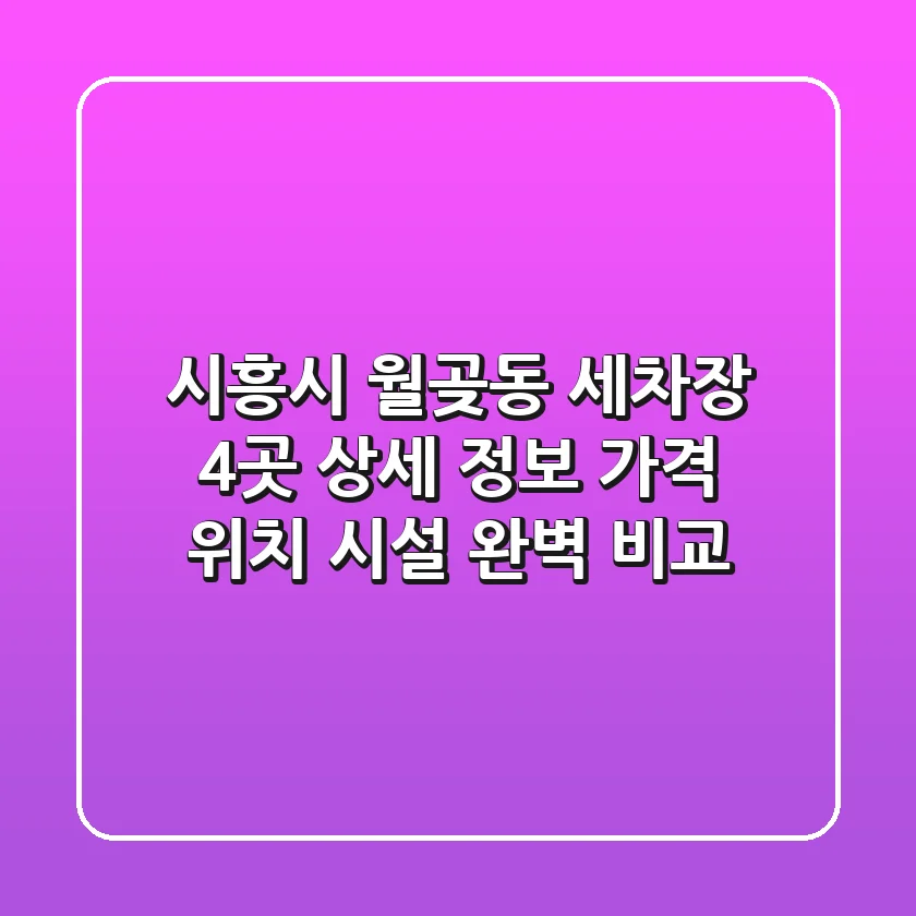 시흥시 월곶동 세차장 4곳 상세 정보 - 가격, 위치, 시설 완벽 비교