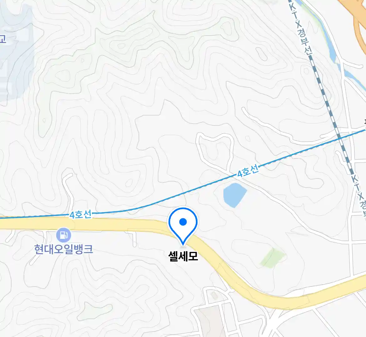 셀세모 위치