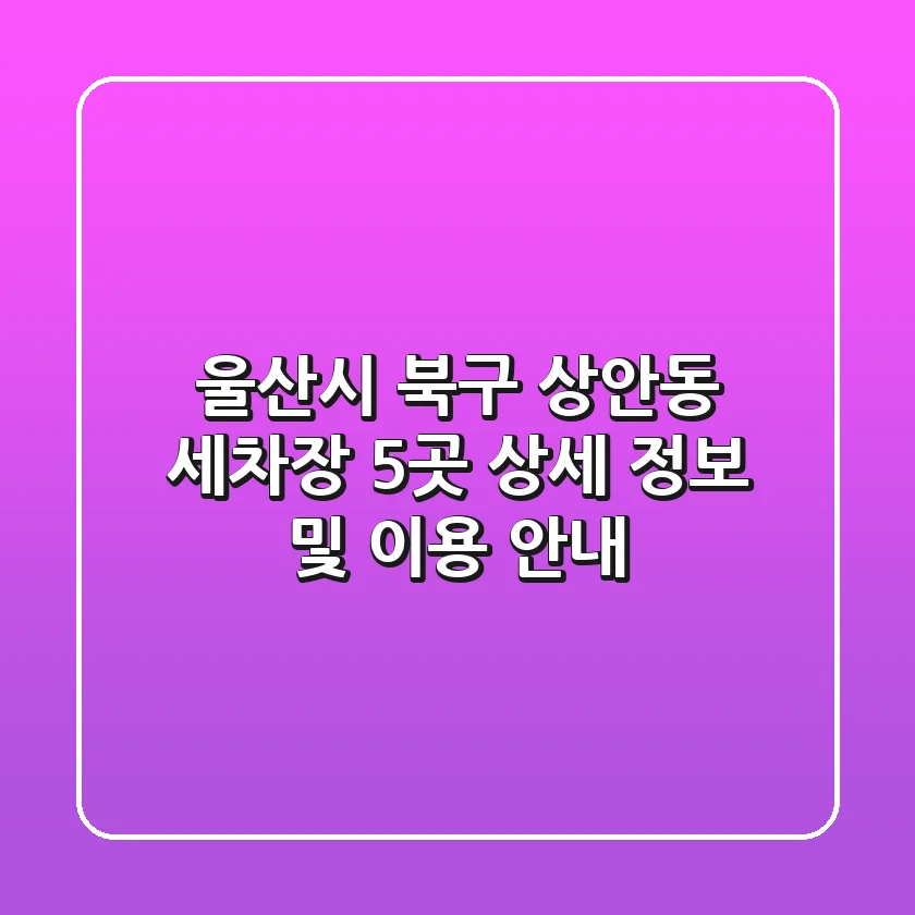울산시 북구 상안동 세차장 5곳 상세 정보 및 이용 안내