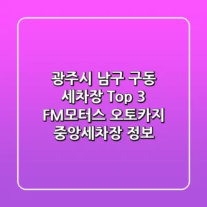 광주시 남구 구동 세차장 Top 3: FM모터스, 오토카지, 중앙세차장 정보