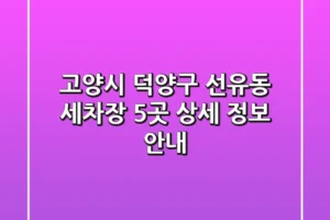 고양시 덕양구 선유동 세차장 5곳 상세 정보 안내