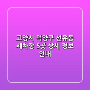 고양시 덕양구 선유동 세차장 5곳 상세 정보 안내