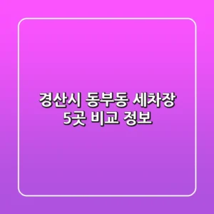 경산시 동부동 세차장 5곳 비교 정보