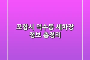 포항시 덕수동 세차장 정보 총정리