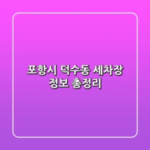 포항시 덕수동 세차장 정보 총정리