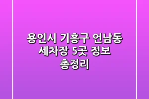 용인시 기흥구 언남동 세차장 5곳 정보 총정리