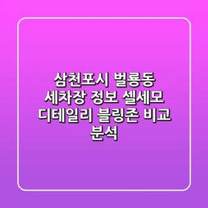 삼천포시 벌룡동 세차장 정보: 셀세모, 디테일리, 블링존 비교 분석