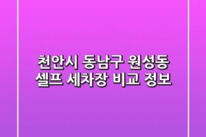 천안시 동남구 원성동 셀프 세차장 비교 정보