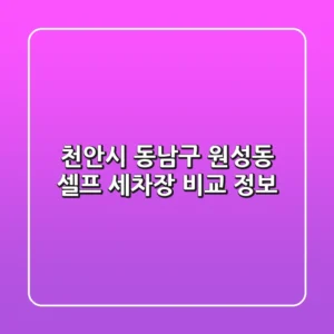 천안시 동남구 원성동 셀프 세차장 비교 정보