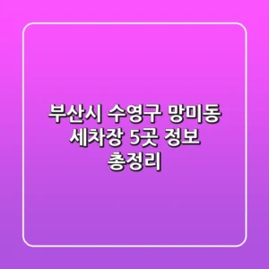 부산시 수영구 망미동 세차장 5곳 정보 총정리