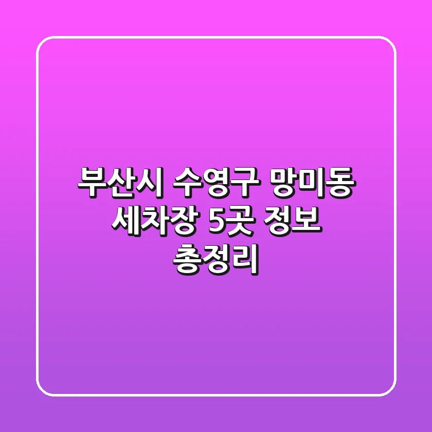 부산시 수영구 망미동 세차장 5곳 정보 총정리