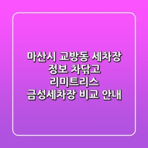 마산시 교방동 세차장 정보: 차닦고, 리미트리스, 금성세차장 비교 안내