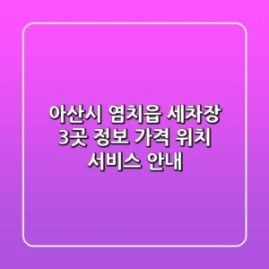 아산시 염치읍 세차장 3곳 정보 - 가격, 위치, 서비스 안내